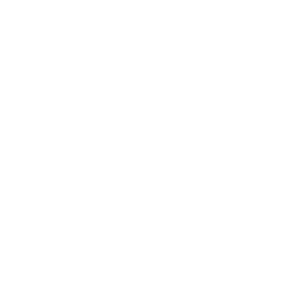 Paula LOGO Hvid
