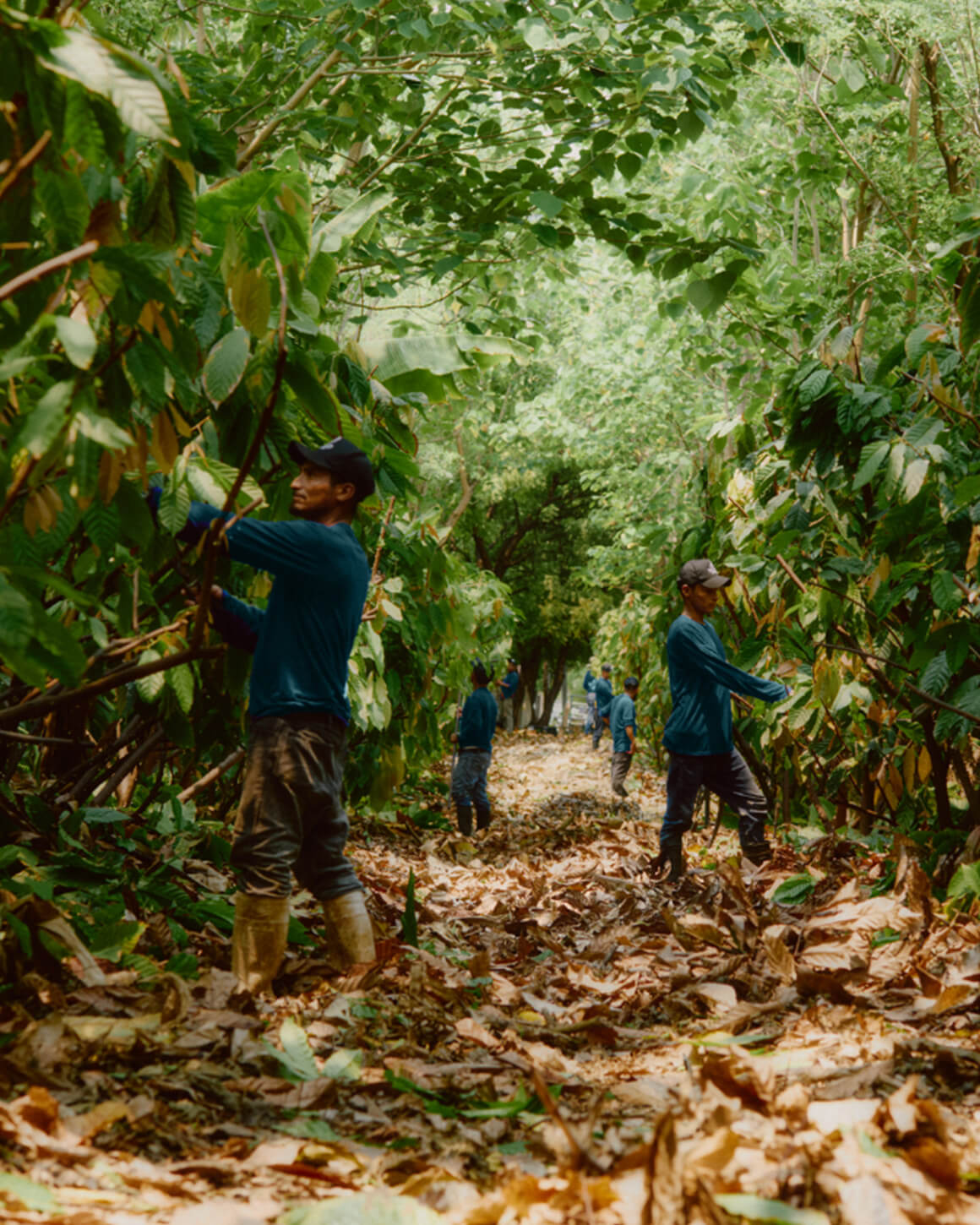 XOCO Gourmet at Restaurant Paula