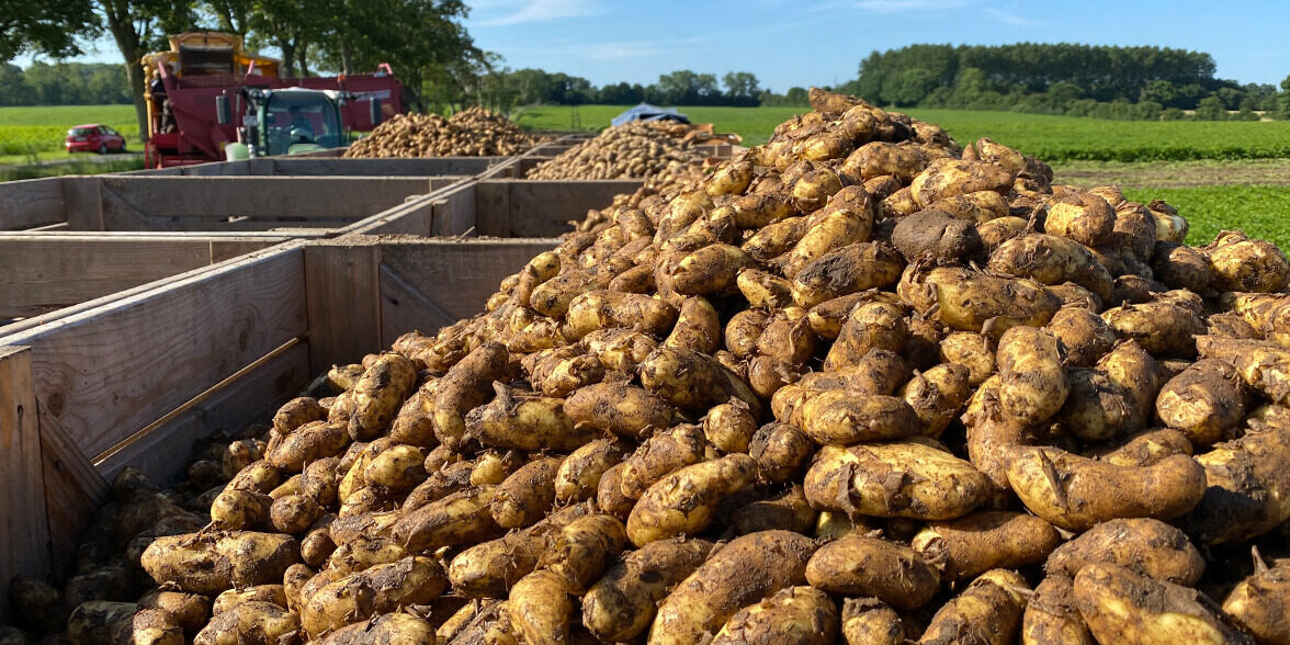Sanderumgaard hos Restaurant Paula